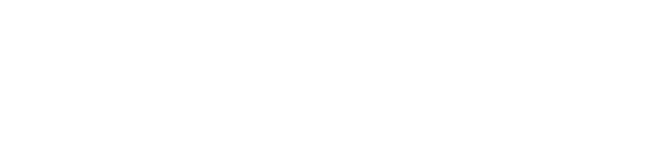 logo footer mse